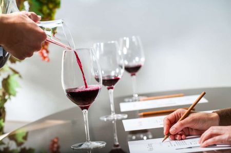 Photo for: Top  sommeliers on how to self-learn and improve skills 