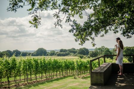 Photo for: English Wine – Flying the Flag for Britain